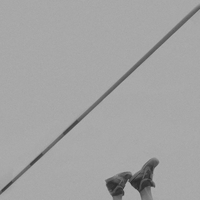 pole vault VIII