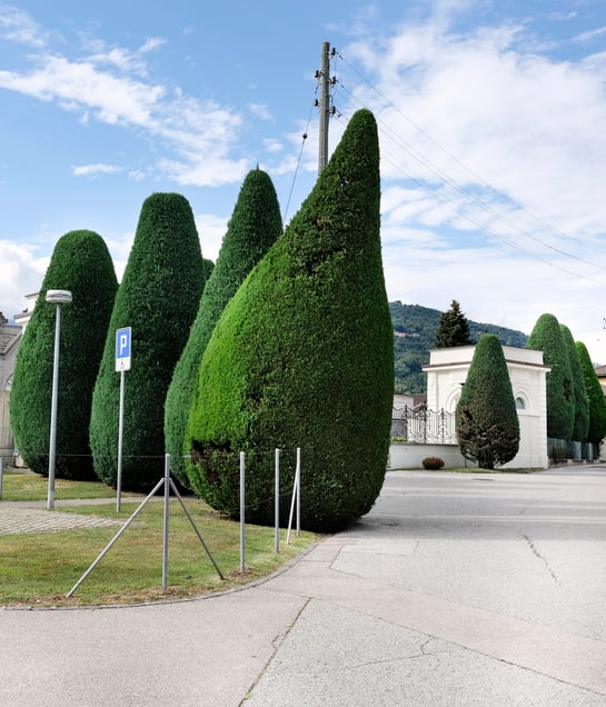 stepping out of line