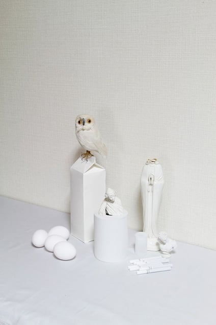 © Kippo (Yoshinori) Mizutani