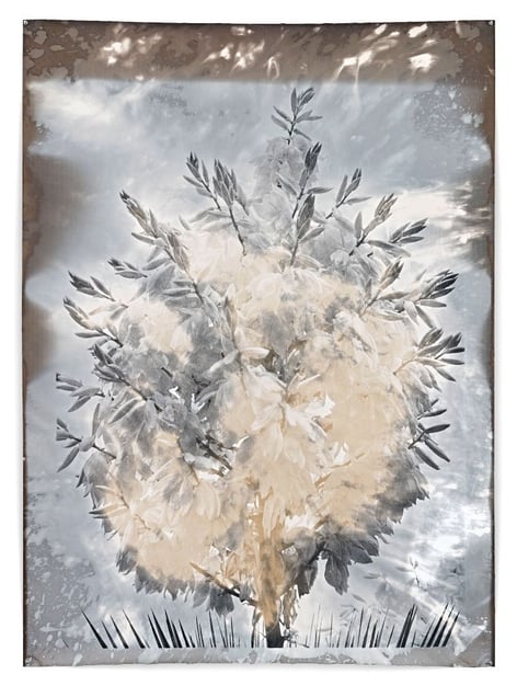Nature Morte 16, 2012, 174 x 127 cm, Silver Gelatin Print, Mixed Media © Jeff Cowen