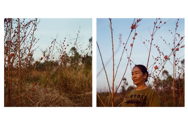 Impacted villager, Nong Bua, Nakhon Sawan. © Luke Duggleby 2025