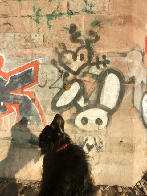 "SPACESHIP EARTH DOWN" or "DONALD TRUMP DEVOURS DONALD DUCK"