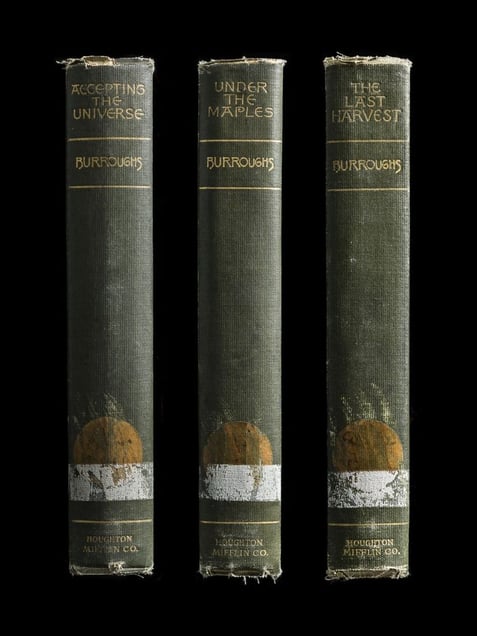 Multiple Spines, John Burroughs Set (Accepting the Universe, Under the Maples, The Last Harvest) © Kerry Mansfield