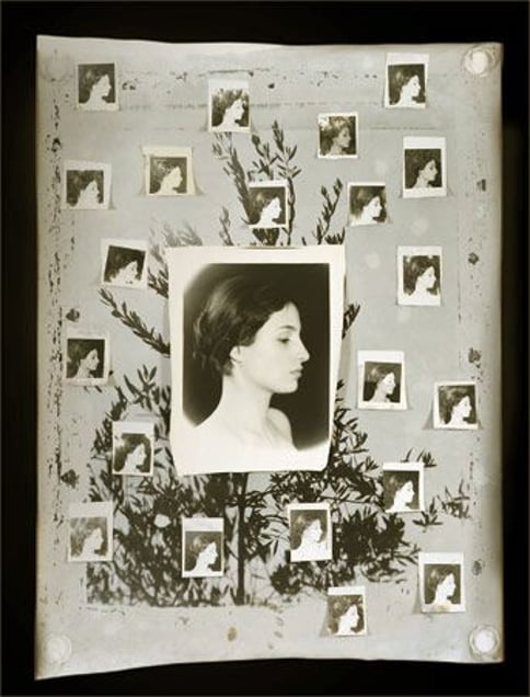 Constance, 127 x 173 cm, 2005 © Jeff Cowen