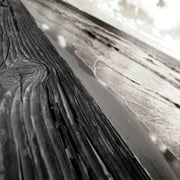 El Zen