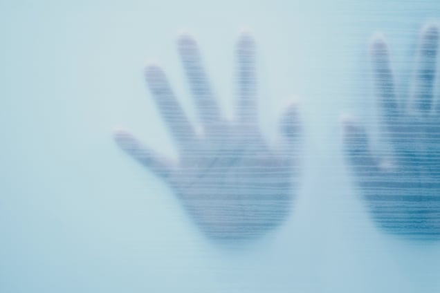 IV. The Pulse of Life