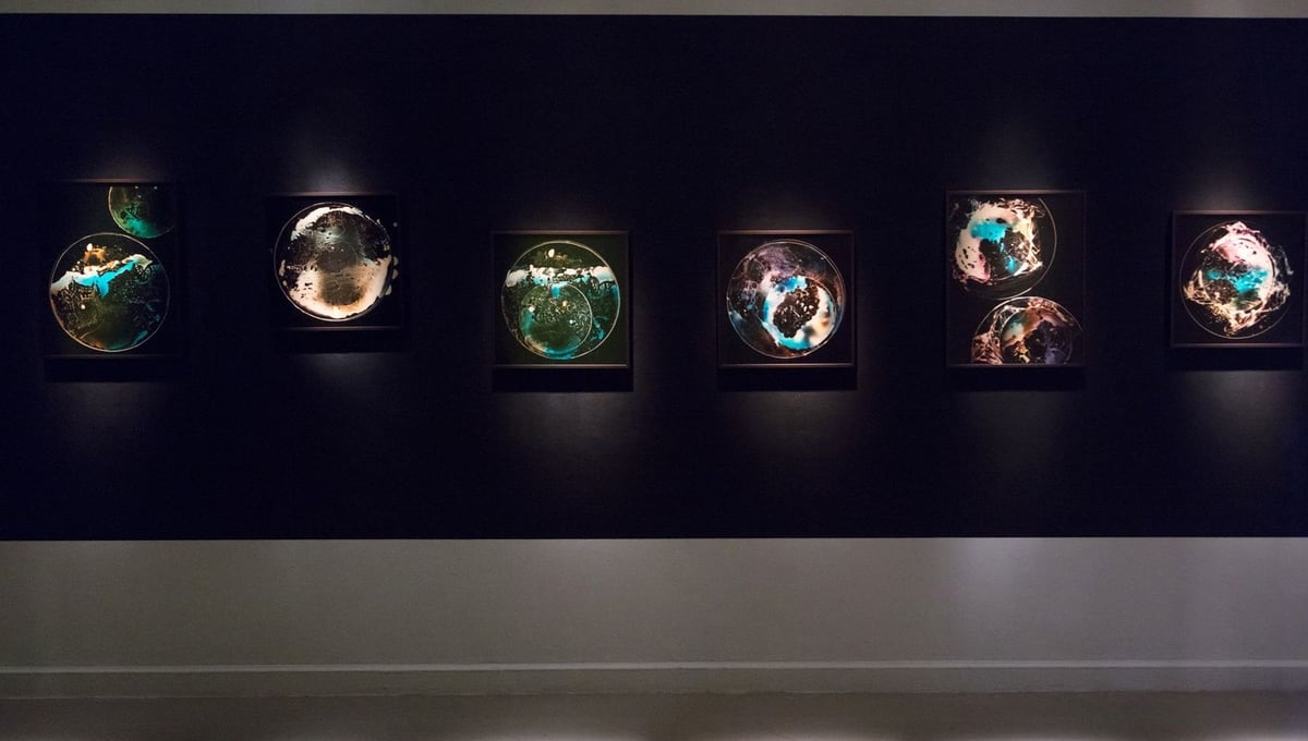 Installation View, Things Merging and Falling, 2017