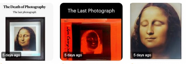 The Last Photograph _ Mona Lisa
