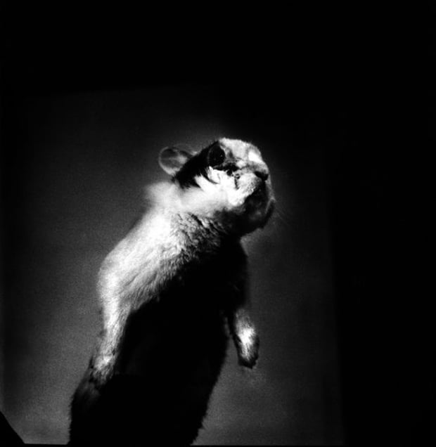 From the series "notes" © Arja Hyytiainen