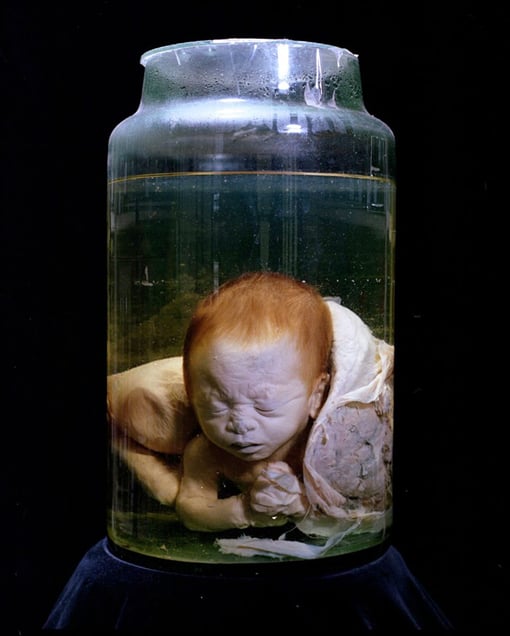 Monsanto A Photographic Investigation. Glass Jar