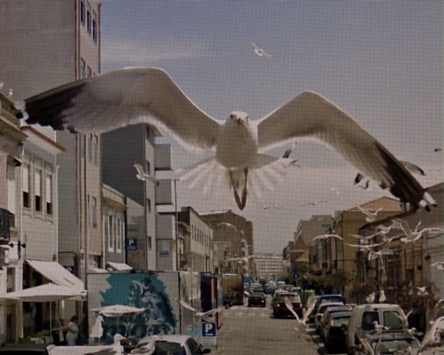 From "A Series of Unfortunate Events" discovered on Google Street View. Photographs © Michael Wolf