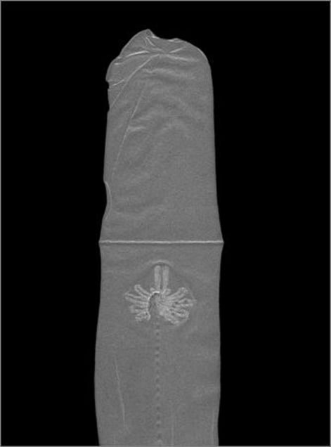 Elle. © Elaine Duigenan