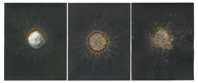 Eclipse, 2011 3(10x8) Unique gunpowder generated gelatin silver print.