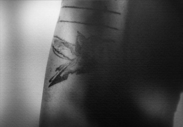 Liberdade, 2024 (Freedom, 2024)