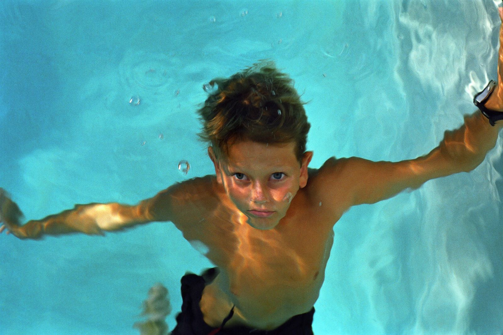 orange blossoms, fire ants and the tyranny of memory