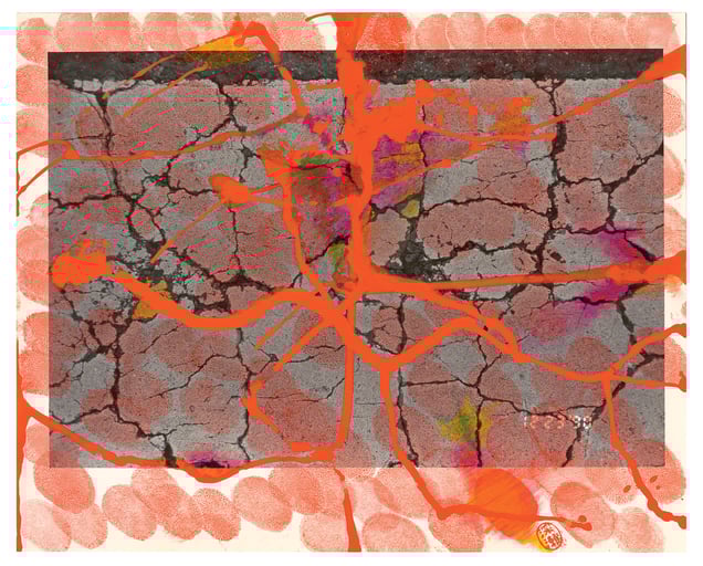 From the photobook, Hibi