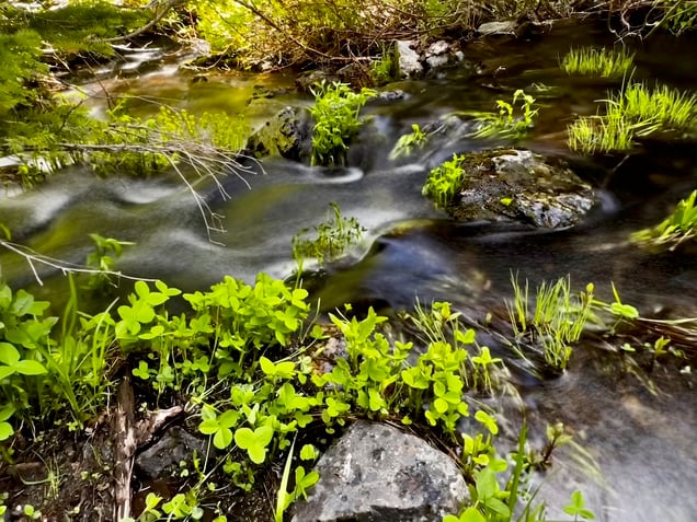 Outlet stream from Lower Sky High Lake IMG_0709