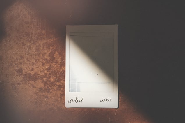 Retrato II, 2024 (Portrait II, 2024)