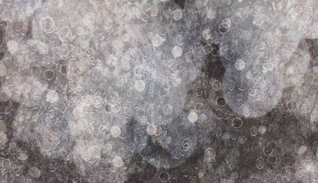 Detail at full size © Thomas Brummett