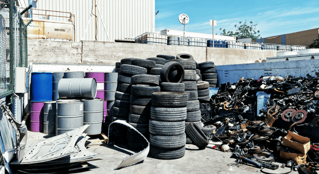 Freedom and Guilt, XXV