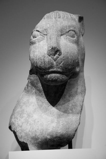 Lion King
