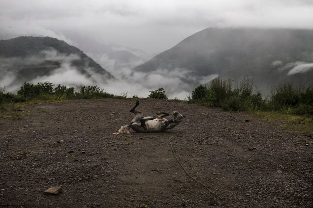 Chungui, o el viaje al sureste del olvido ©  Max Cabello Orcasitas