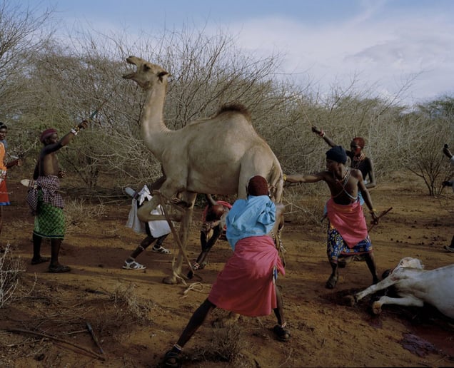 untitled, westgate community conservancy, northern kenya-from the series 'with butterflies and warriors'-David Chancellor