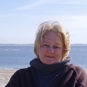 Bo van Scheyen