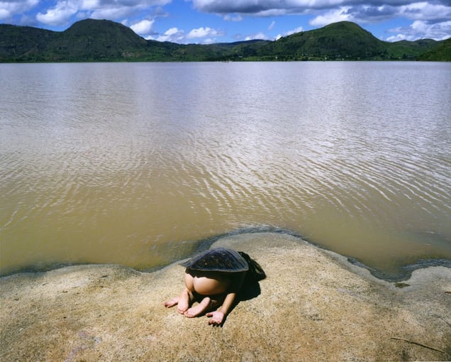 Turtle, 2013 © Scarlett Hooft Graafland. All images courtesy of Huis Marseille.