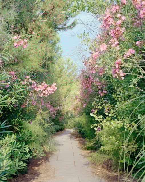 Circulation douce I – Le Couchant de La Grande Motte – 2022