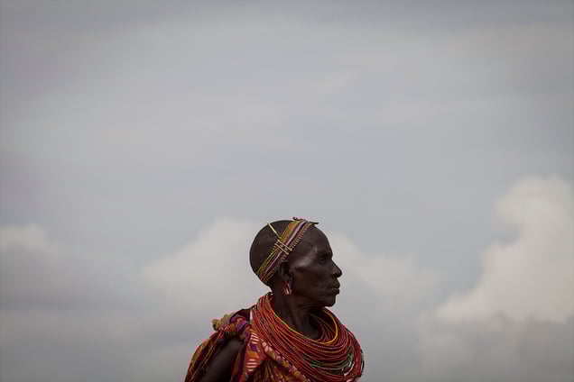 The Lukumai Elephant Clan