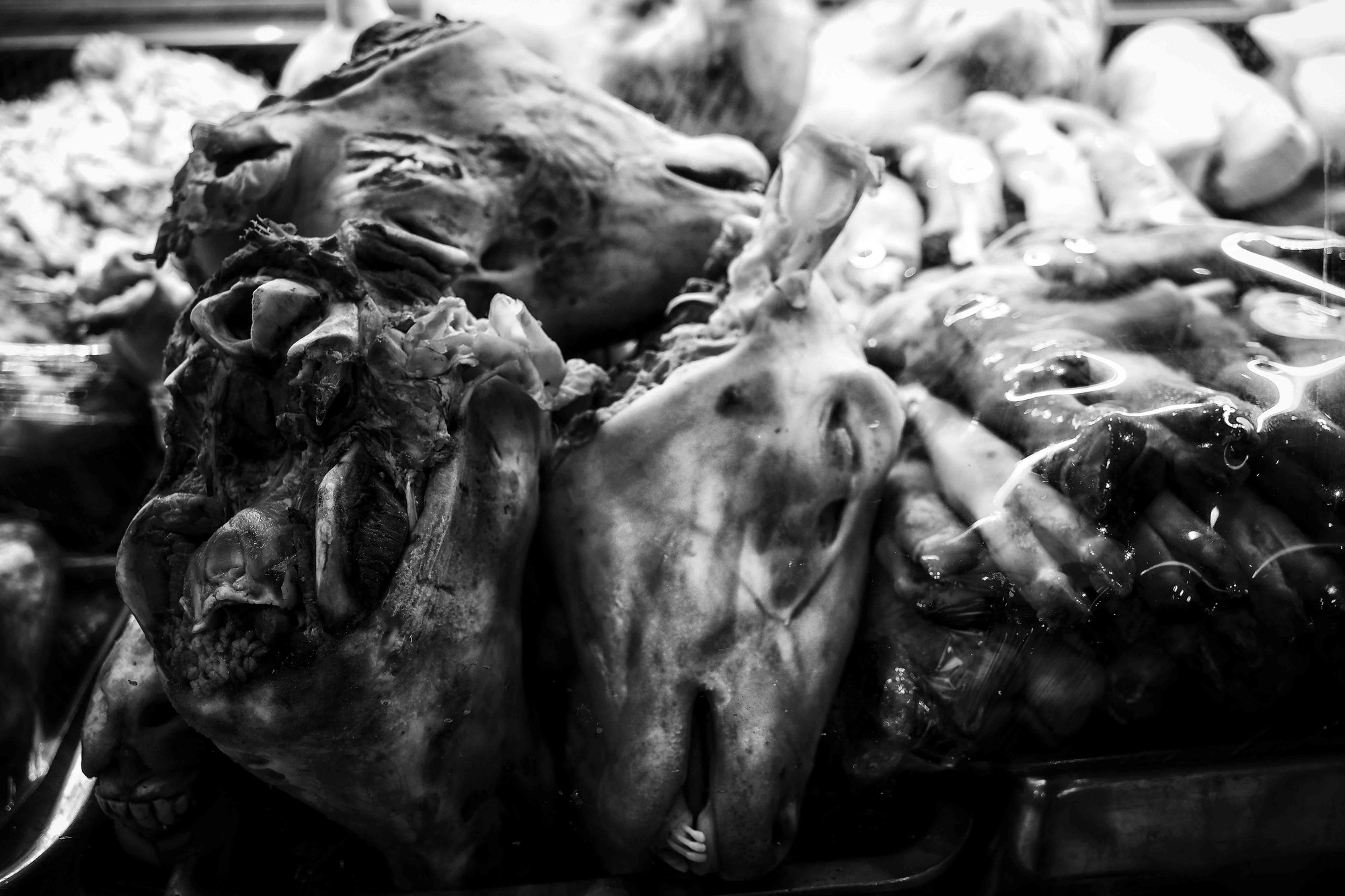 The Slaughterhouse and War: Between Necessity and Justification