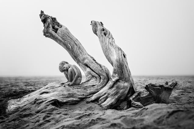 Driftwood