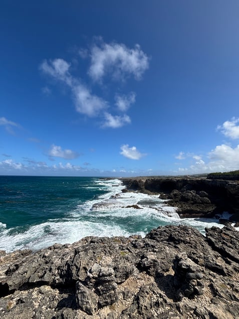 Animal Flower Cave, Barbados