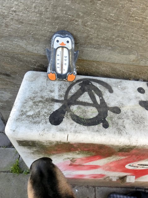 "TRIPPLE A" oder "DIE STIMMUNG IST GUT!" “THE MOOD IS GOOD!”