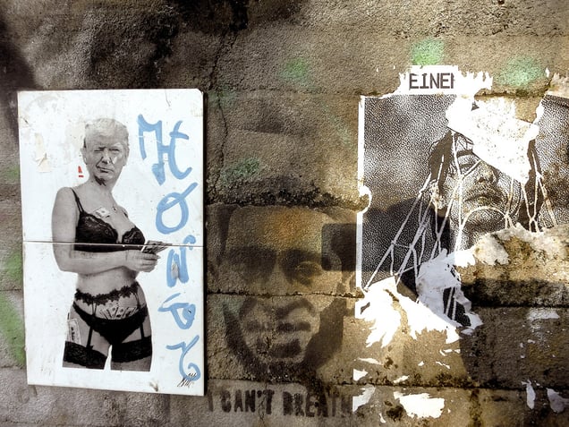 "DARK ENLIGHTENMENT DONALD" or "WHITE MAN'S RULE" "DIE HERRSCHAFT DES WEIßEN MANNES"