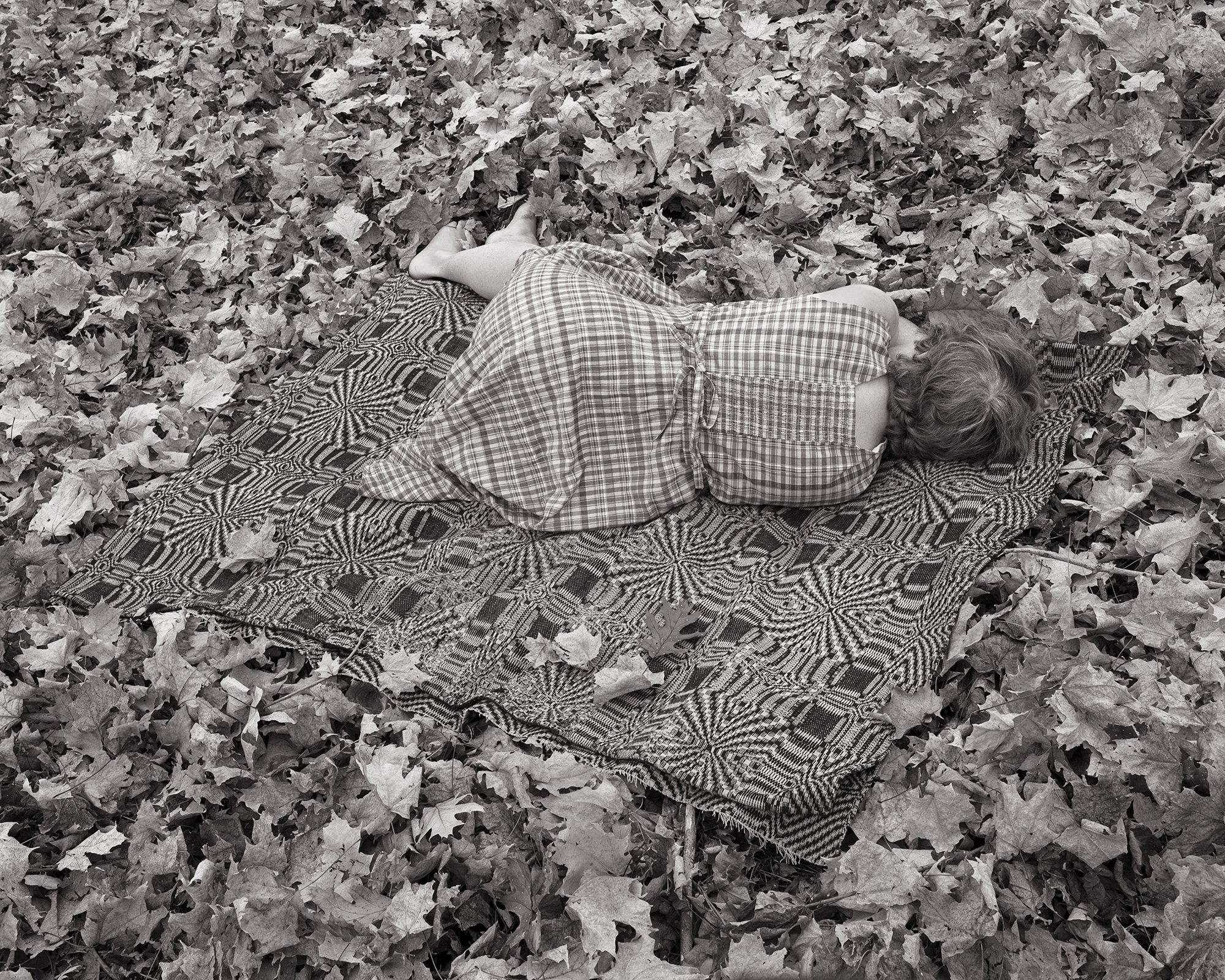 Fall leaves, 2020 © Scott Offen