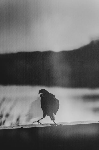 Passado, 2024 (Past, 2024)