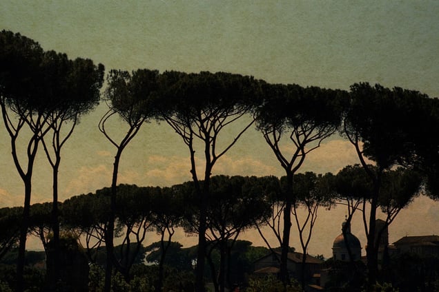 "This is you here" #113