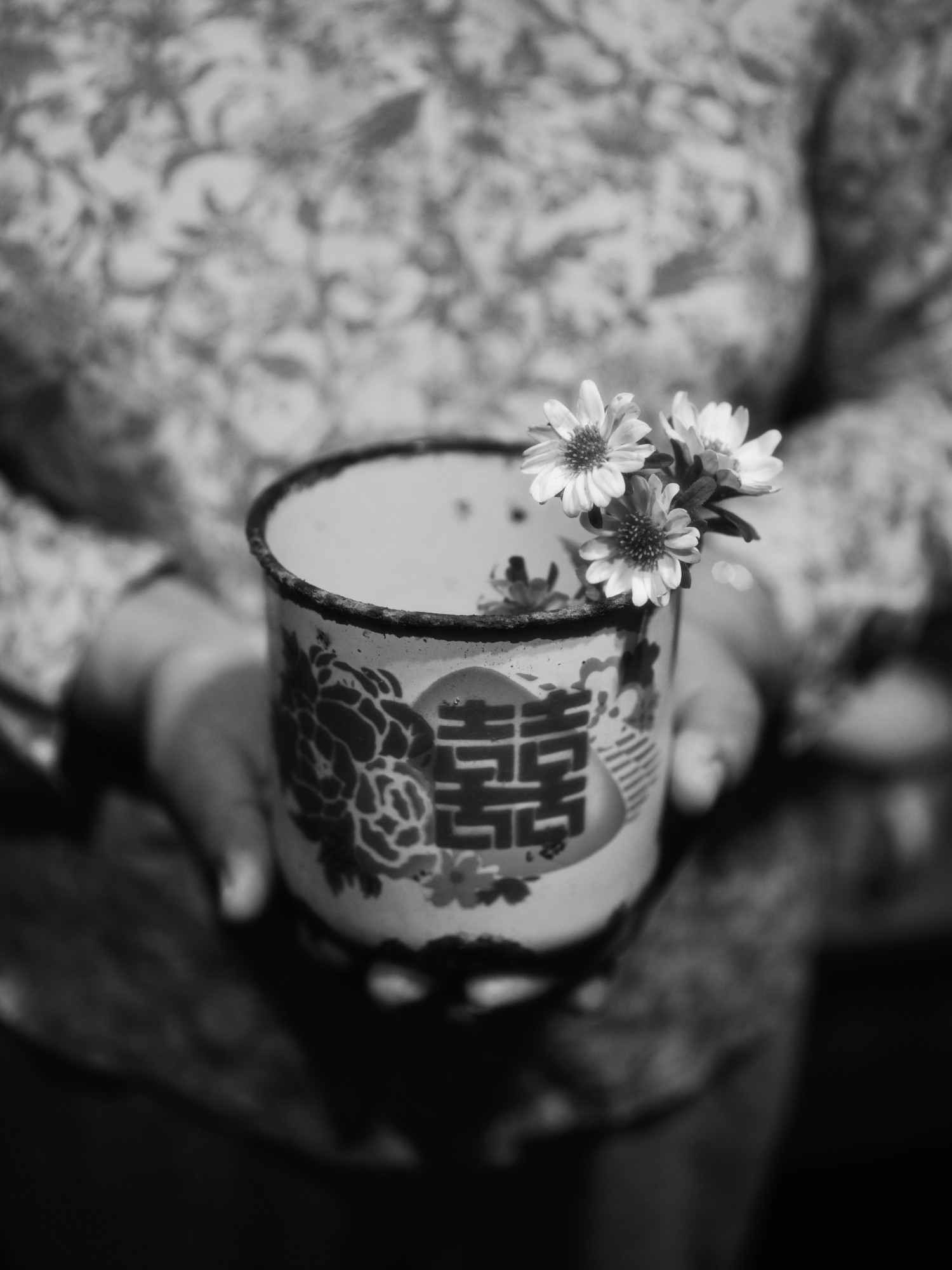 winner of photography awards