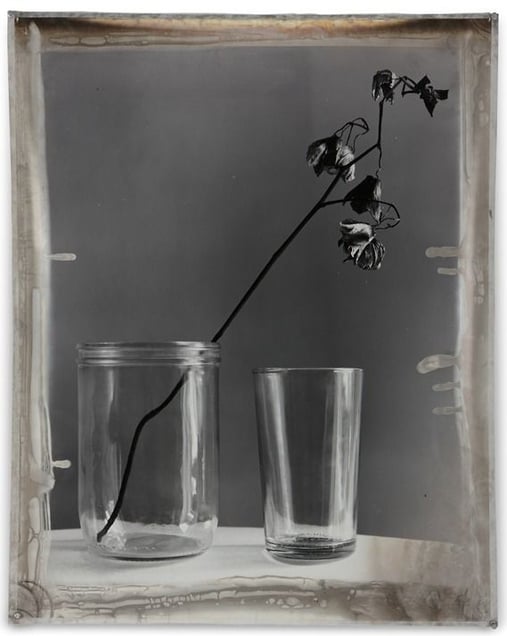 Nature Morte 10, 2012, Mixed Media on Silver Gelatin Print, 81 x 65 cm © Jeff Cowen