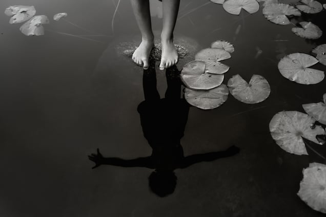 Lily Pads
