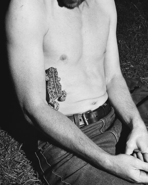 Untitled (Toad)