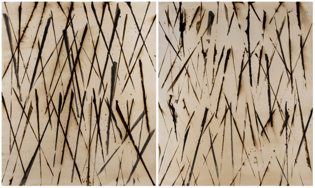 Barricades and Impediments, Diptych