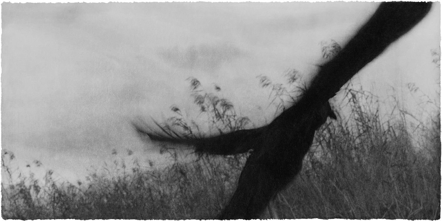 PHOTOFAIRS | San Francisco Interview