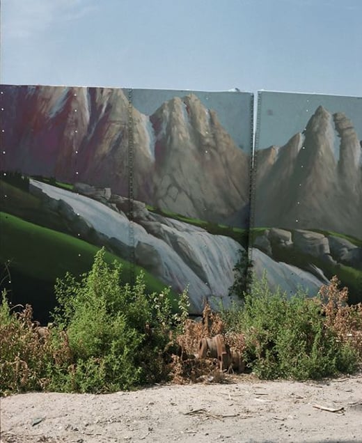 Weeds, Pocatello Idaho © Alexis Pike