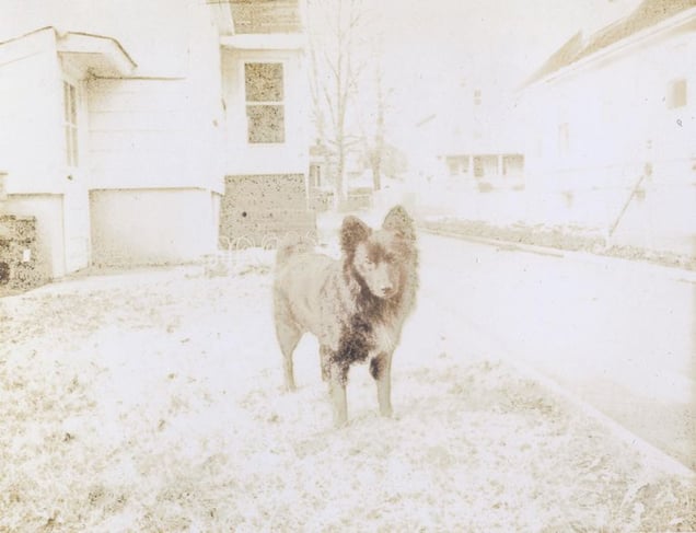 © KesselsKramer Publishing, from In Almost Every Picture #9