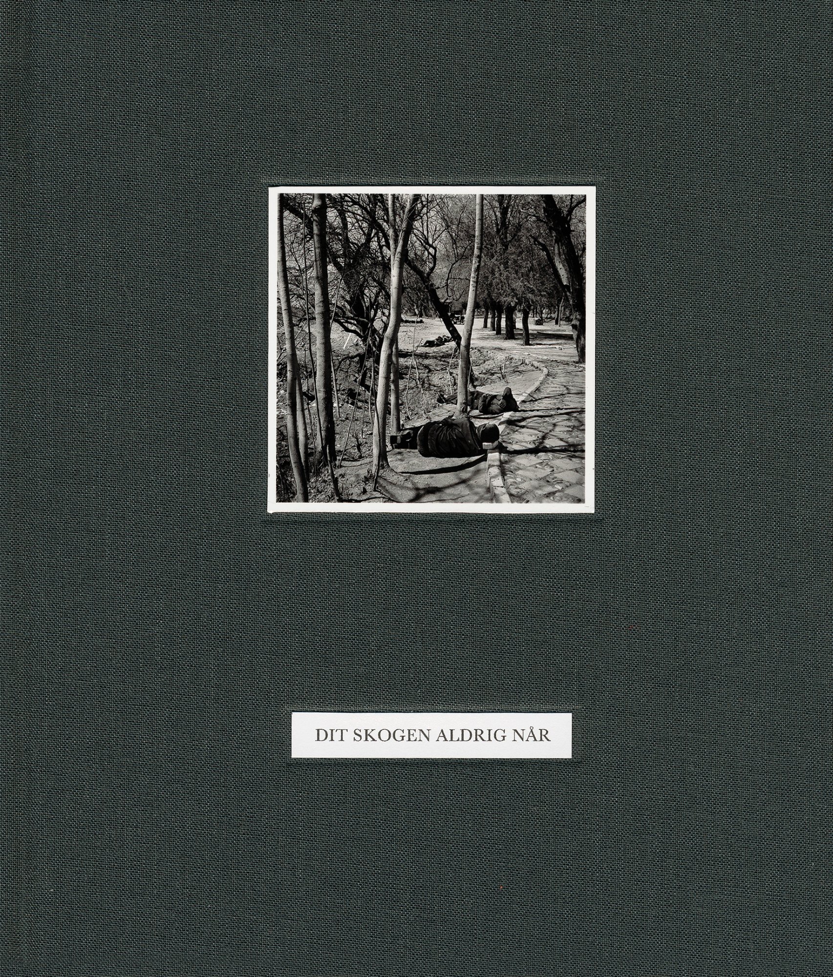 Dit skogen aldrig når/Where the forrest never reaches