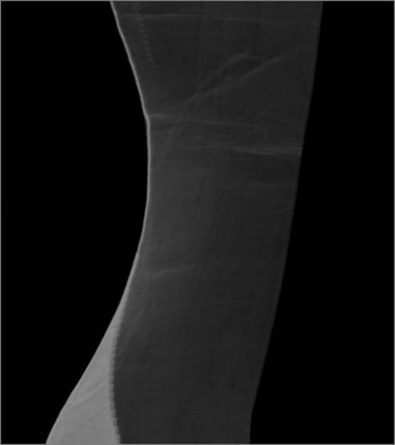 Sheer. © Elaine Duigenan