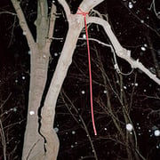 Arnis Balcus